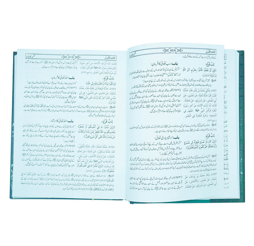 Sahih Bukhari Takhreej Shuda (8 Volume) (Classic Edition)