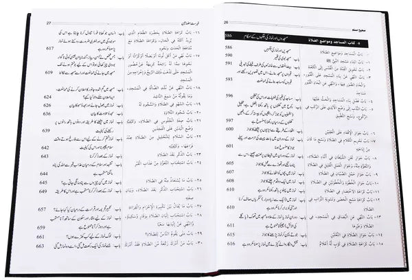 Sahih Muslim 5 Volumeset ( Urdu) - imported