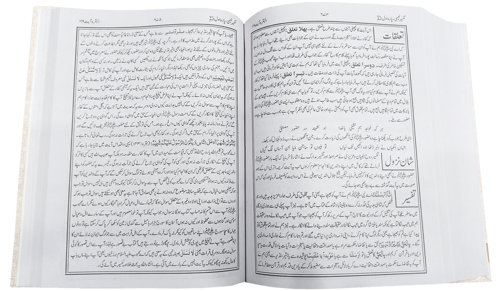 Tafsir e Naeemi 19 volumes set