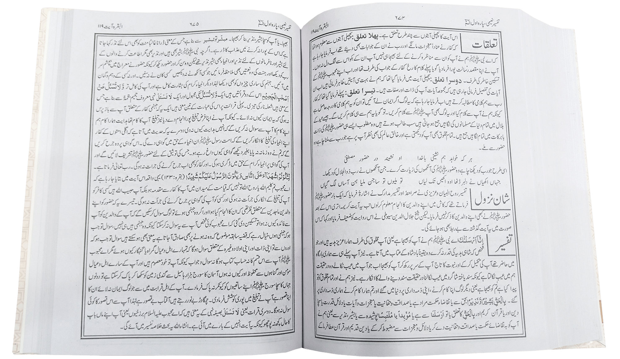 Tafsir e Naeemi 19 volumes set