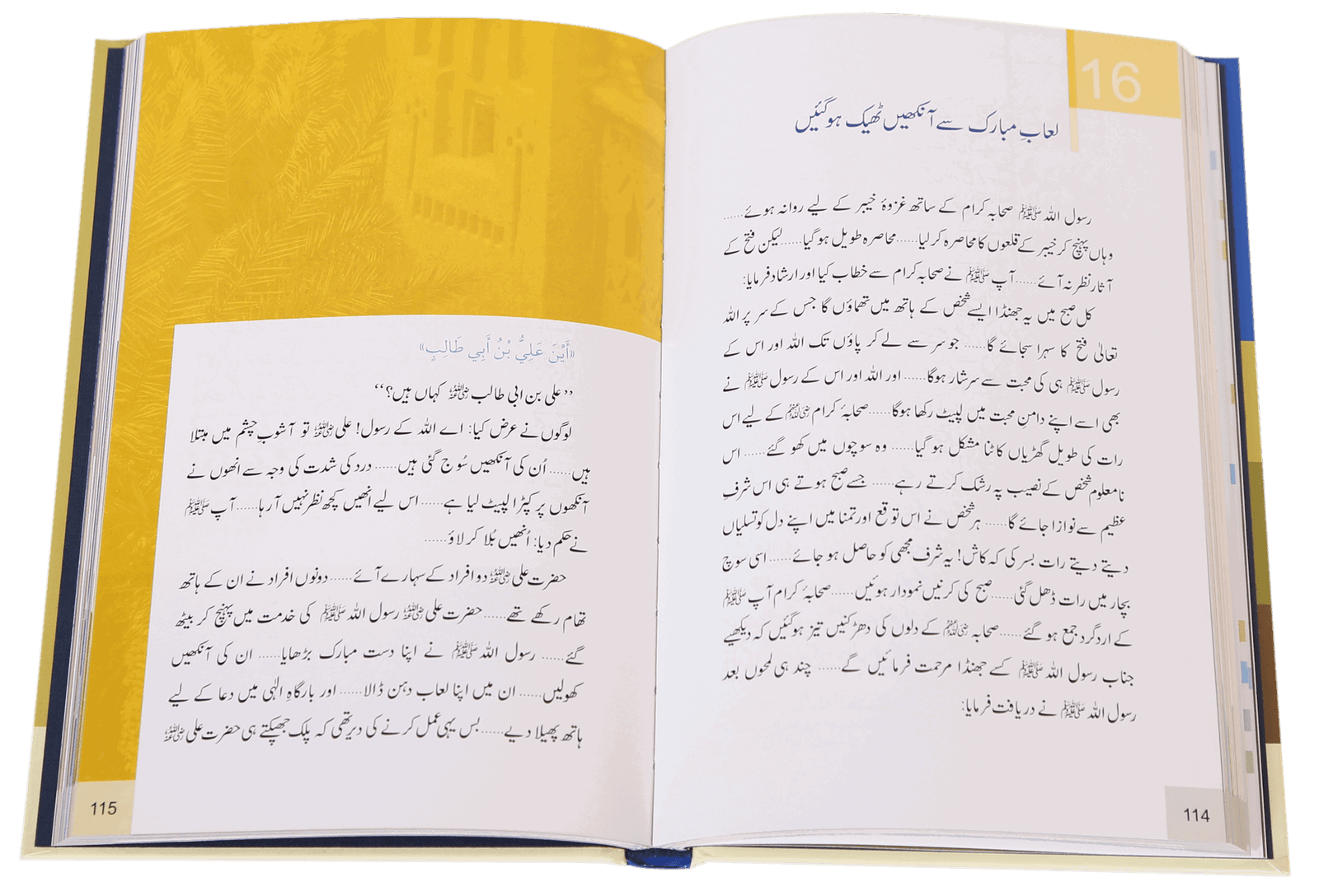 Payam e Seerat <br>پیام سیرت