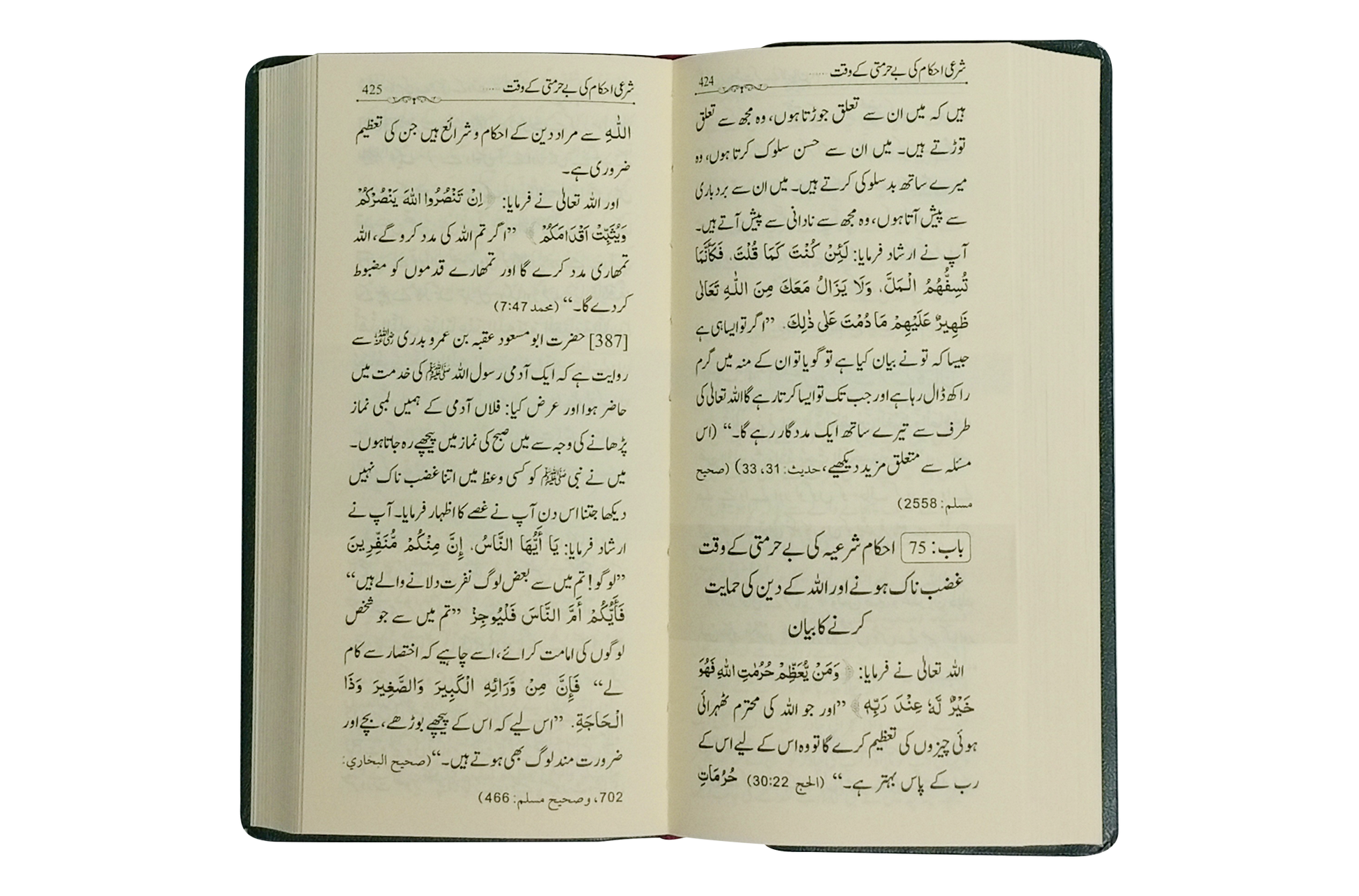 Mukhtasar Riyad Us Saliheen - Urdu