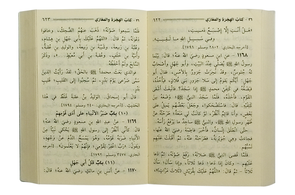 Mukhtasar Sahih Muslim - Arabic