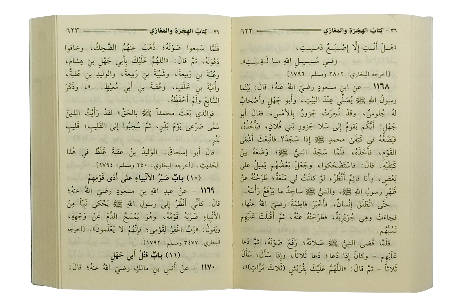 Mukhtasar Sahih Muslim - Arabic