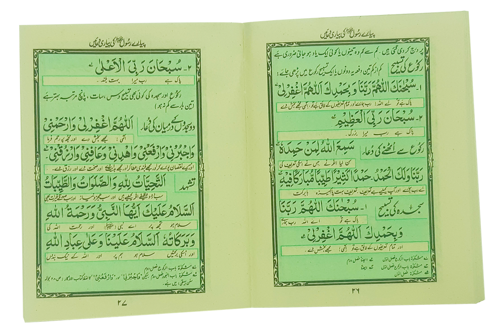 Pyary Rasool ki Payari Duain (Pocket) - Aam