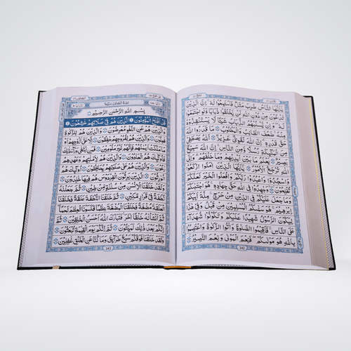 Al Quran Al Kareem 15 Line | Darrussalam Mushaf