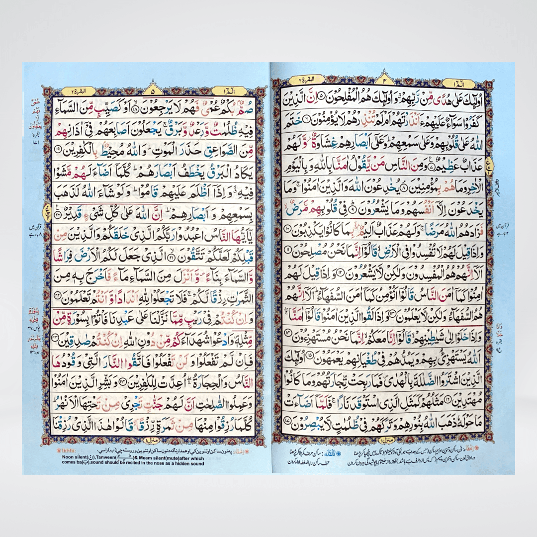 Color Coded 16 Lines Tajveedi Quran | Offset Paper