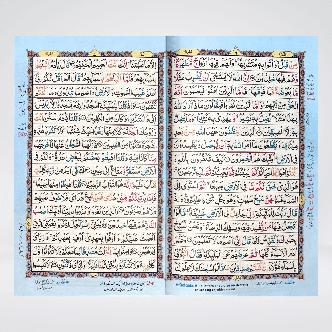 Color Coded 16 Lines Tajveedi Quran | Offset Paper