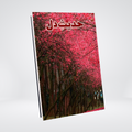 Hadees e Dil | Abu Yahya Urdu Book