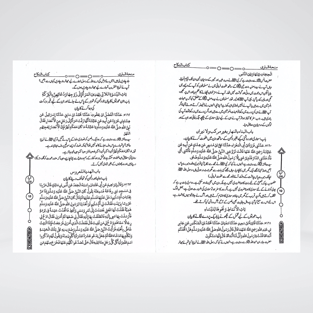 Minha-tul-Bari Urdu | Sahih Bukhari Sharah 12 Volumes