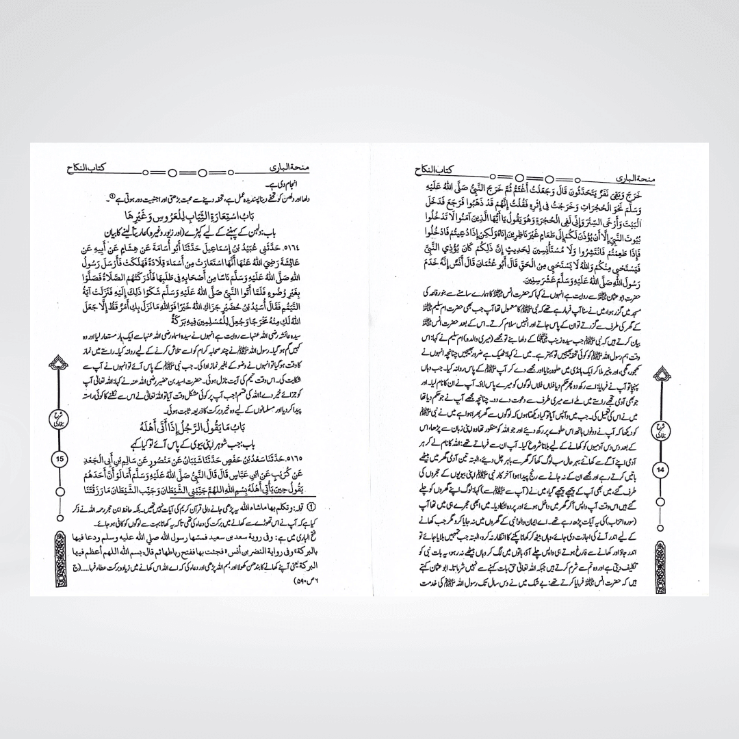 Minha-tul-Bari Urdu | Sahih Bukhari Sharah 12 Volumes