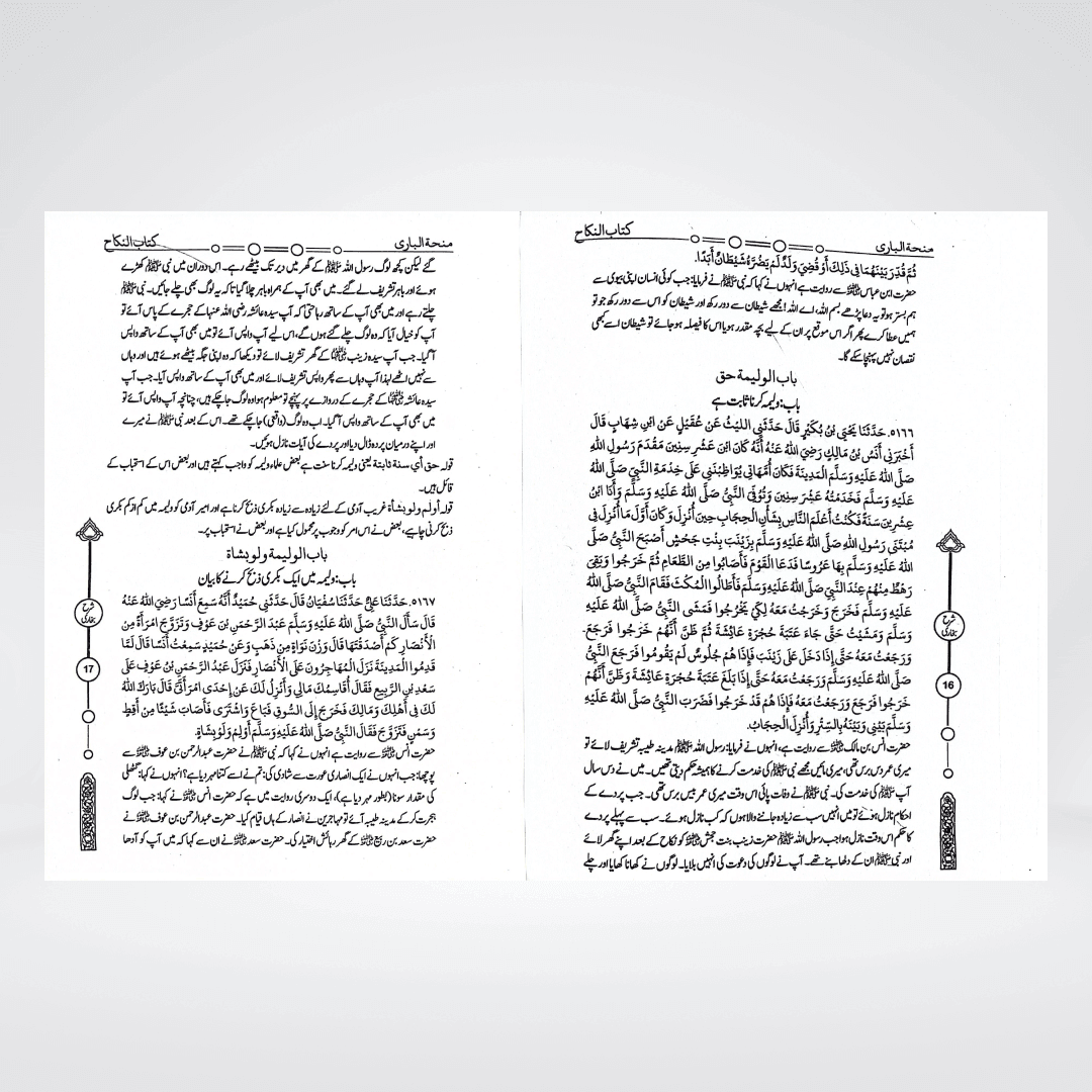 Minha-tul-Bari Urdu | Sahih Bukhari Sharah 12 Volumes