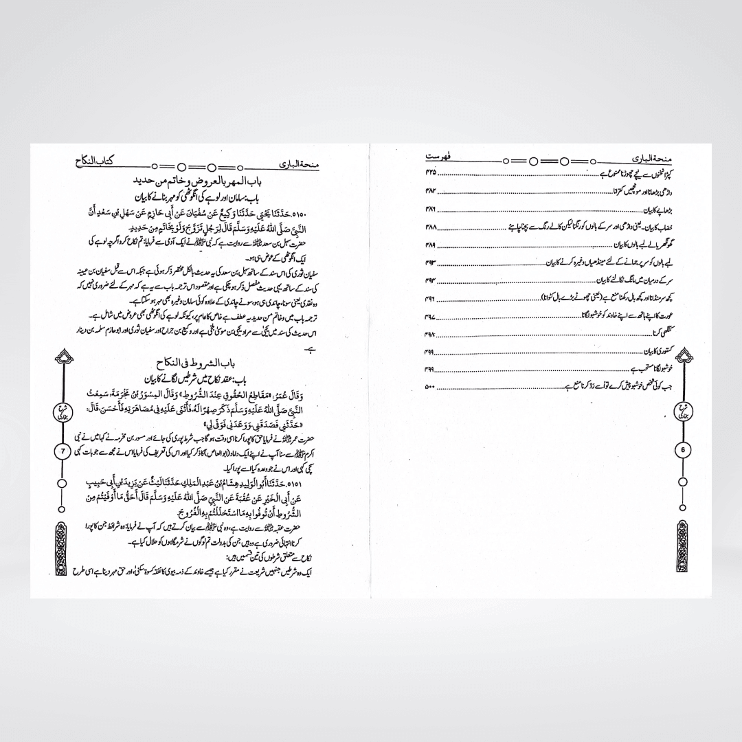 Minha-tul-Bari Urdu | Sahih Bukhari Sharah 12 Volumes