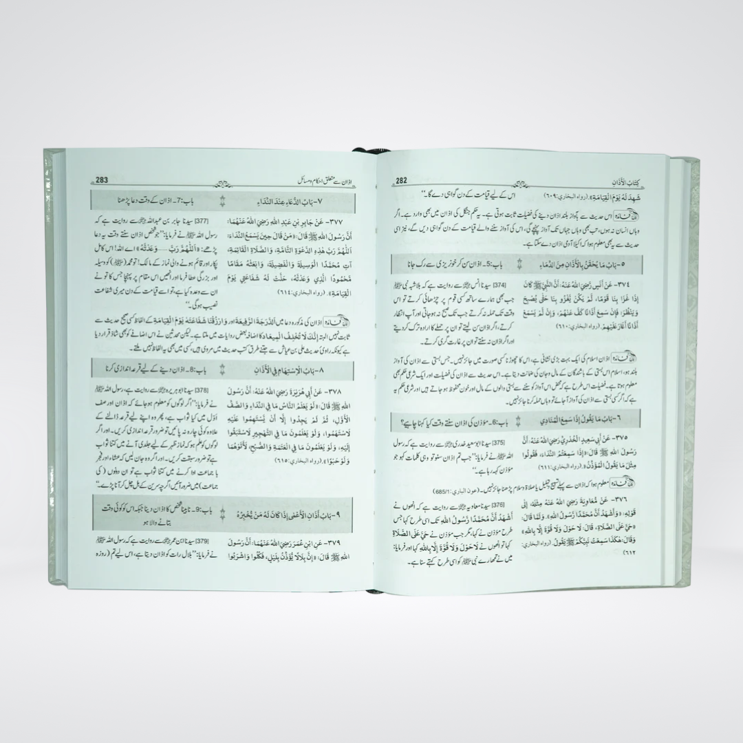 Mukhtasir Sahih Bukhari Urdu | 2 Volumes Darrussalam