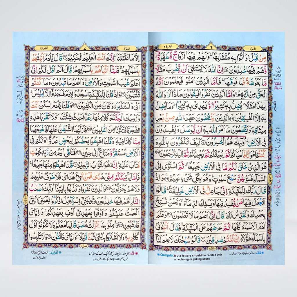Color Coded 16 Lines Tajveedi Quran | Offset Paper
