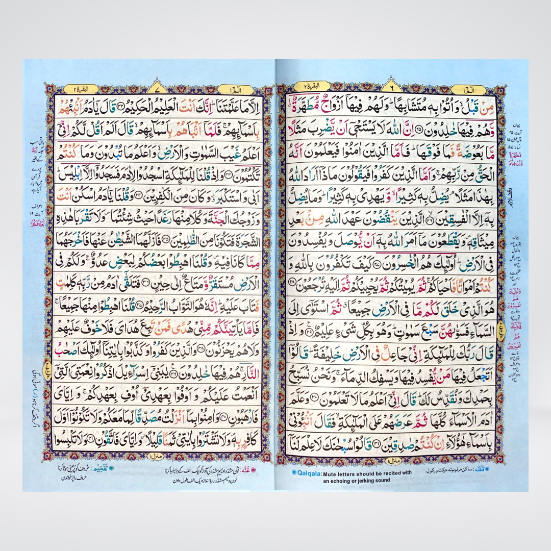 Color Coded 16 Lines Tajveedi Quran | Offset Paper