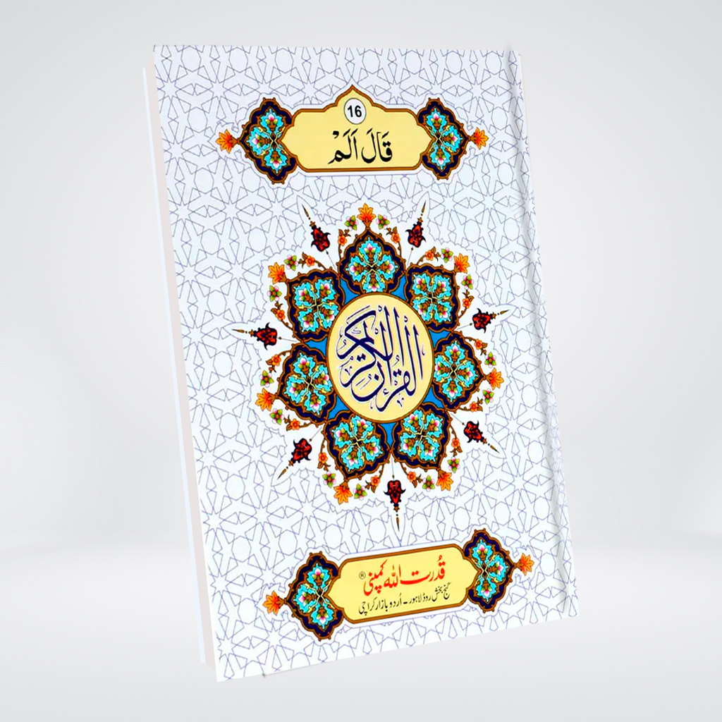 Sipara Set | 30 Para Quran | 11 Lines | Colour Border