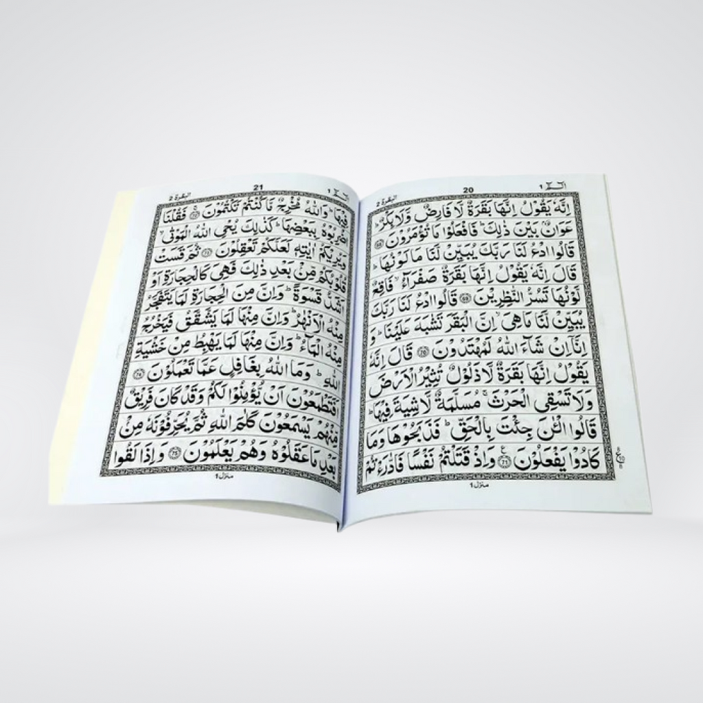 Sipara Set | 30 Para Quran | 13 Lines | Pale Blue Border
