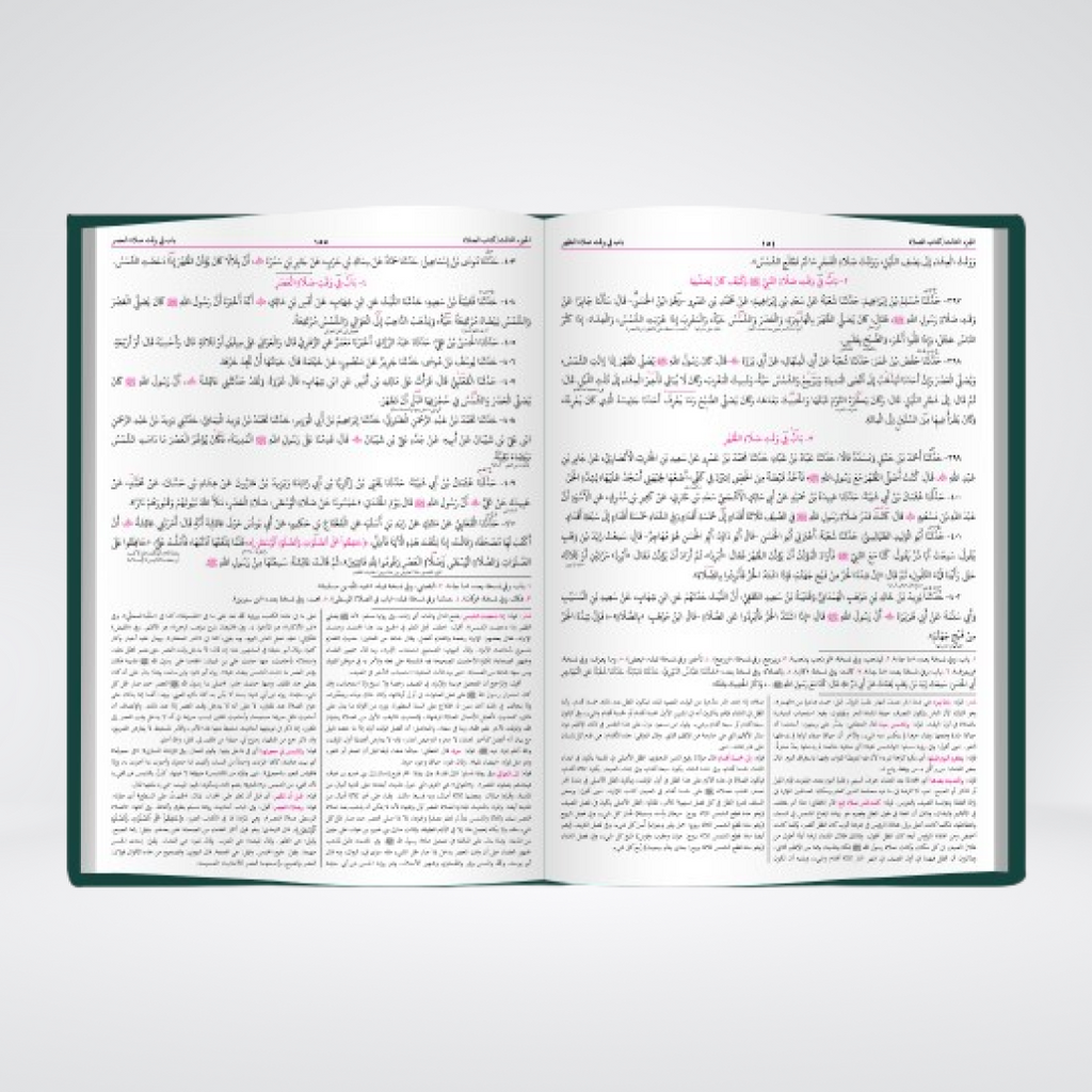 Sunan Nasai | Arabic