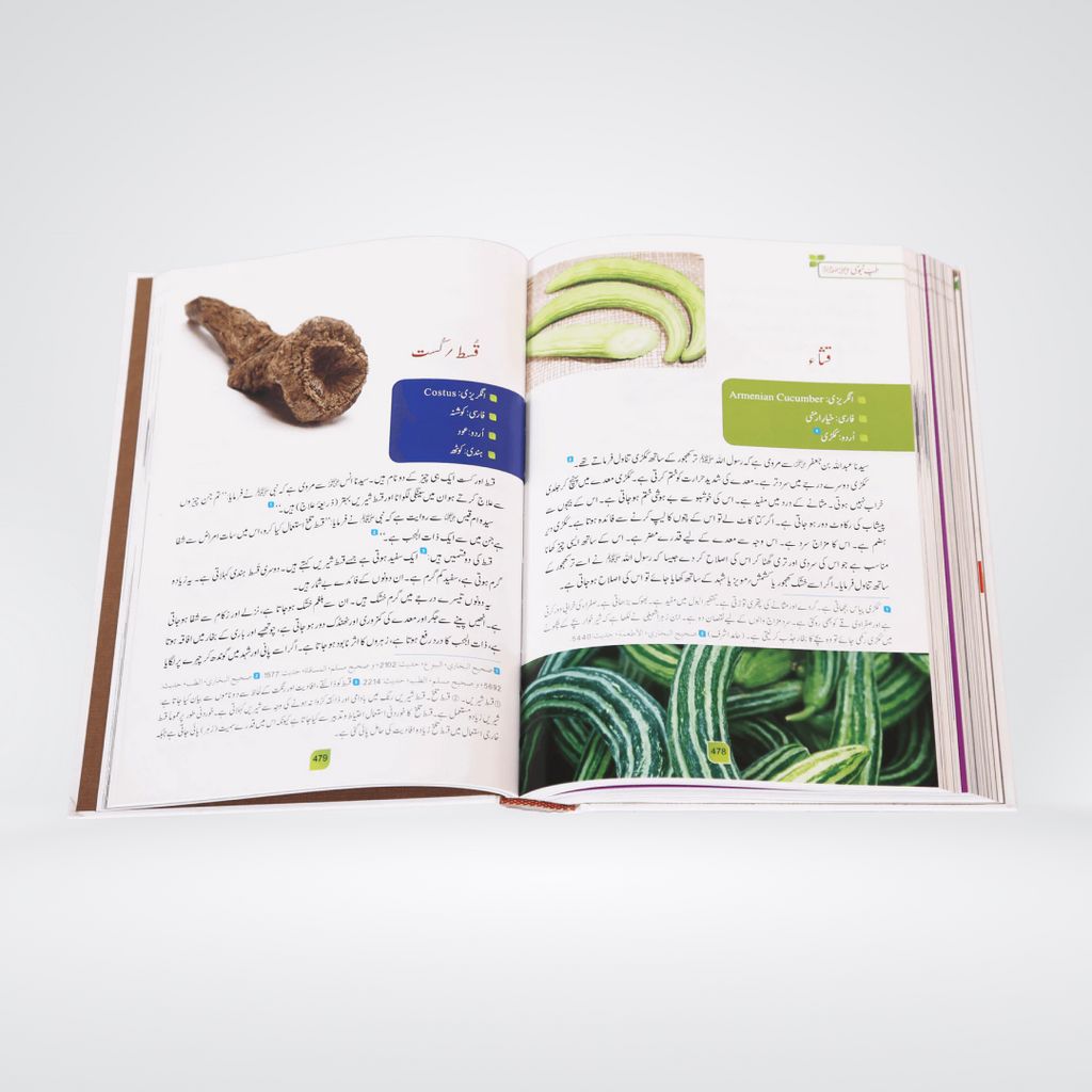 Tib e Nabvi | Urdu Color Edition | Ibn Qayyim