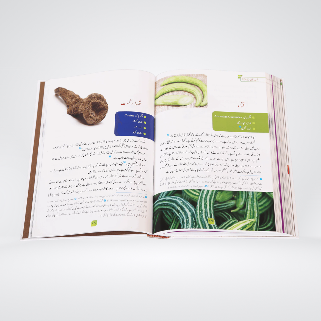 Tib e Nabvi | Urdu Color Edition | Ibn Qayyim