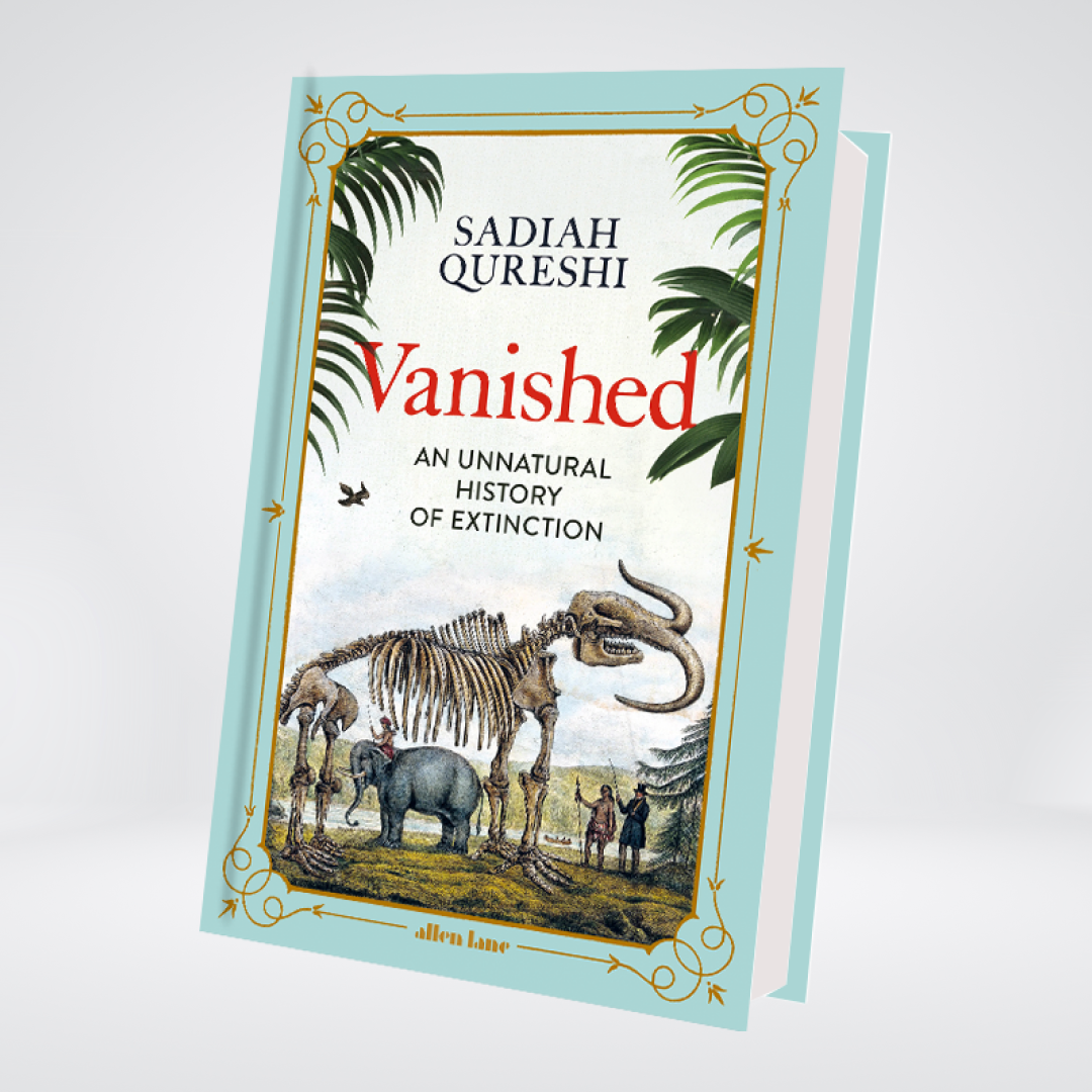 Vanished | Sadiah Qureshi
