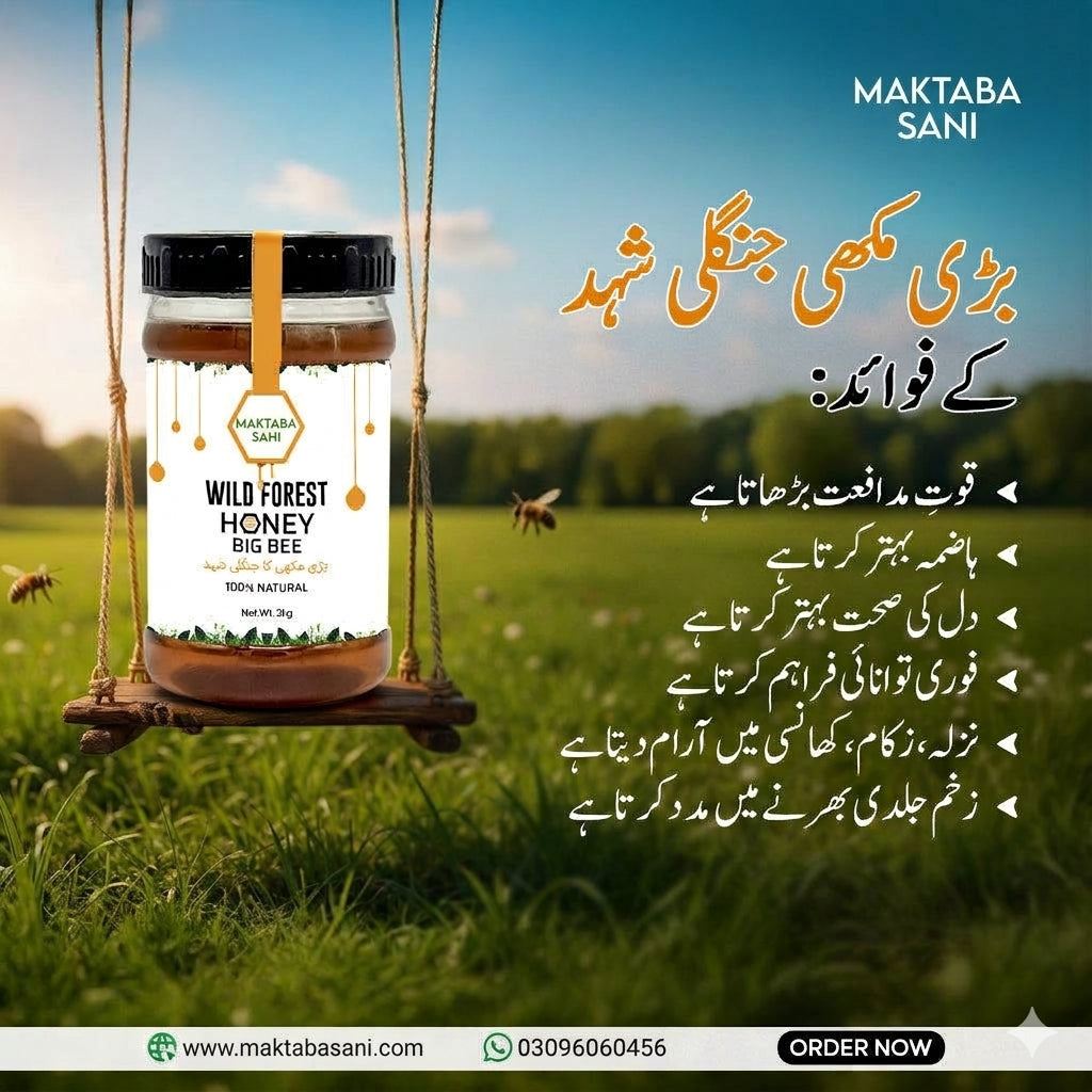 Pure Wild Forest Honey Big Bee / جنگلی شہد  بڑی مکھی