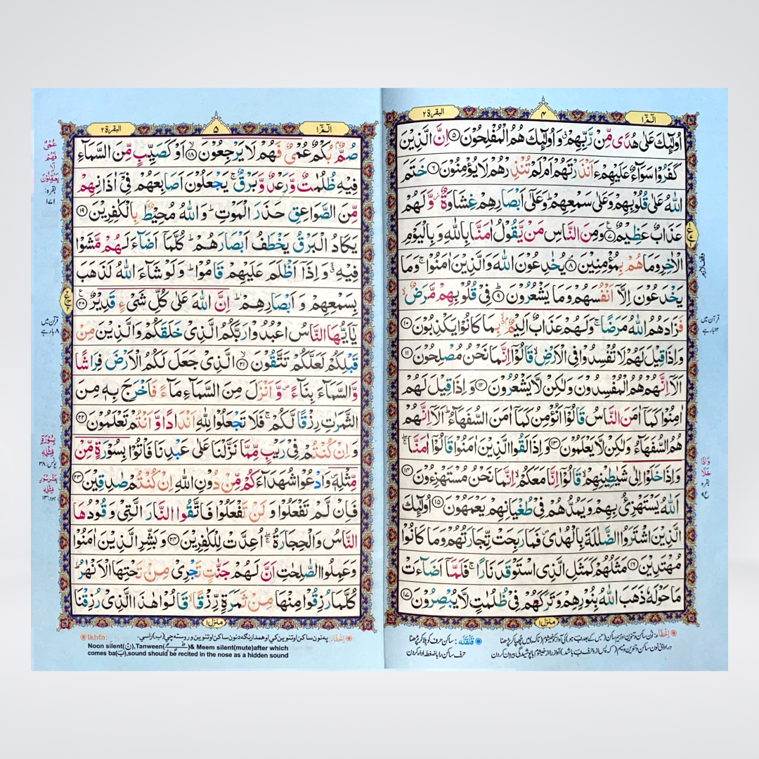Color Coded 16 Lines Tajveedi Quran | Offset Paper
